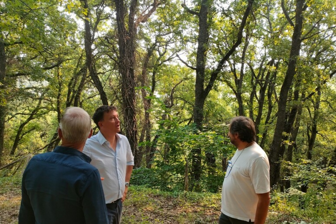Assessore Galella: "A Potenza bisogna ripulire il parco di S. Antonio La Macchia"