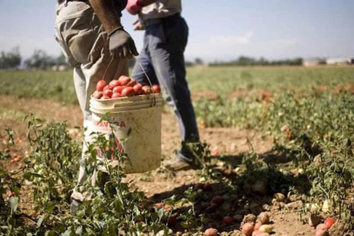"Garantire agli stagionali un'accoglienza dignitosa" è la richiesta della Coldiretti