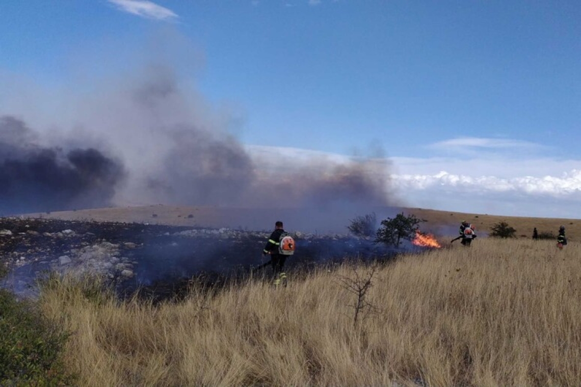 Incendio in una pineta a nord di Bari, bruciati oltre 50 ettari