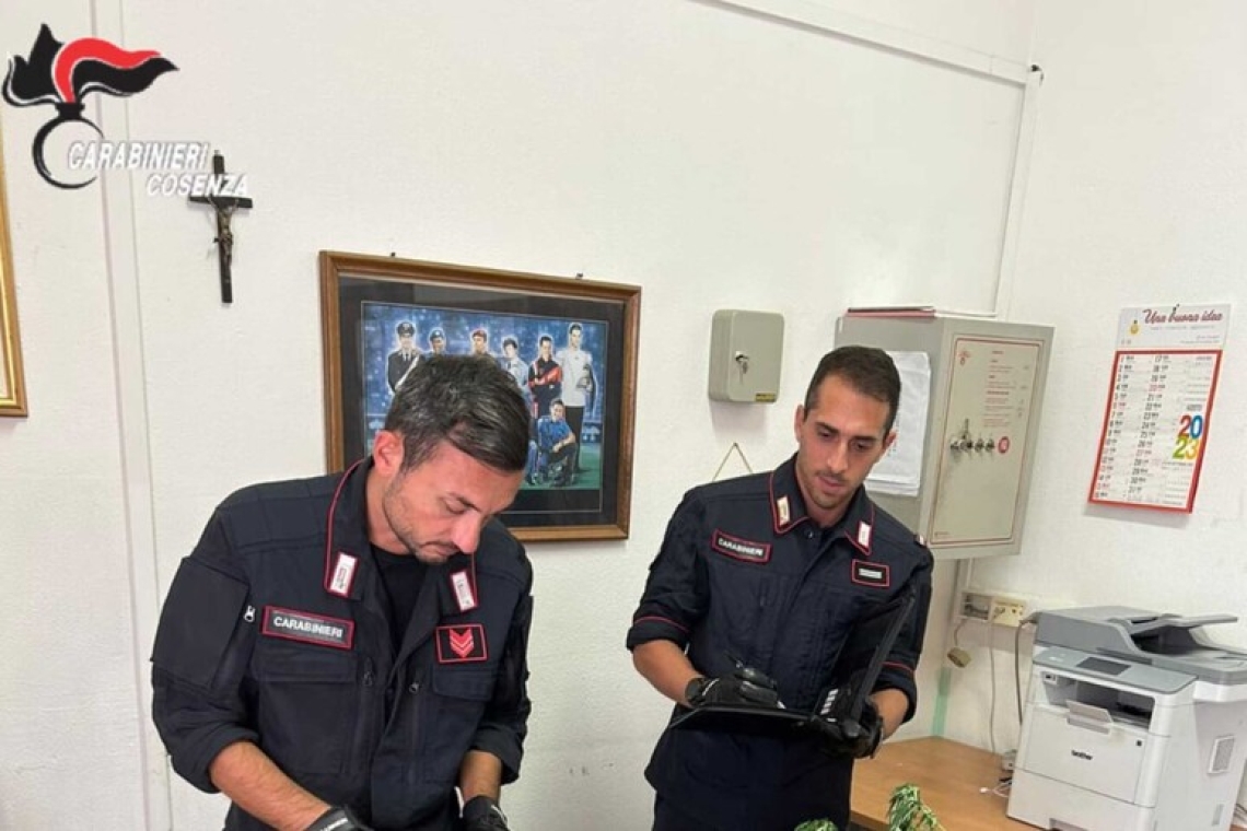 Il Cane antidroga trova hascisc e 4 piante marijuana in una casa