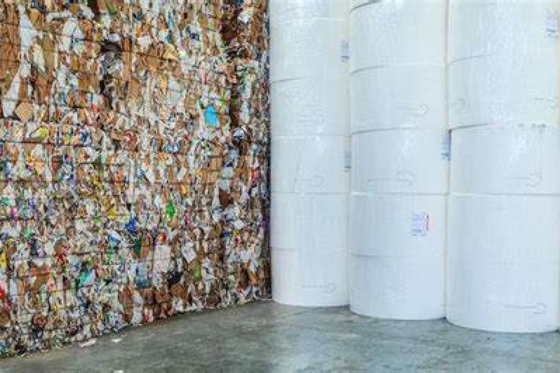 Cresce la raccolta di carta e cartone in Puglia, + 2,1%