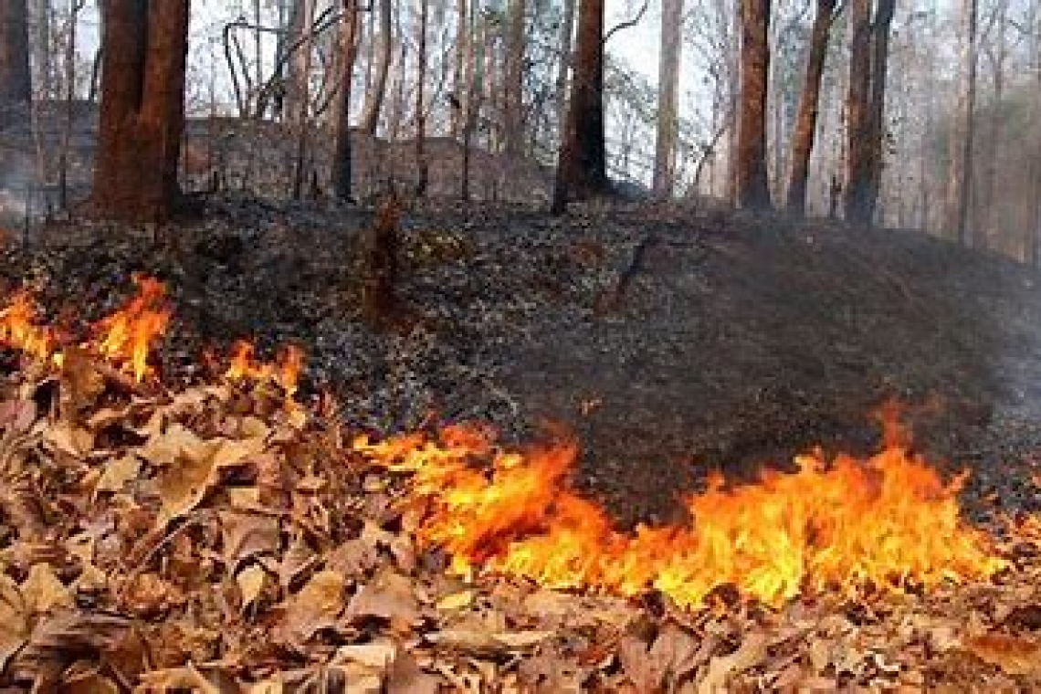 Basilicata: prorogato il periodo di grave pericolosità di incendi boschivi fino al 30/9