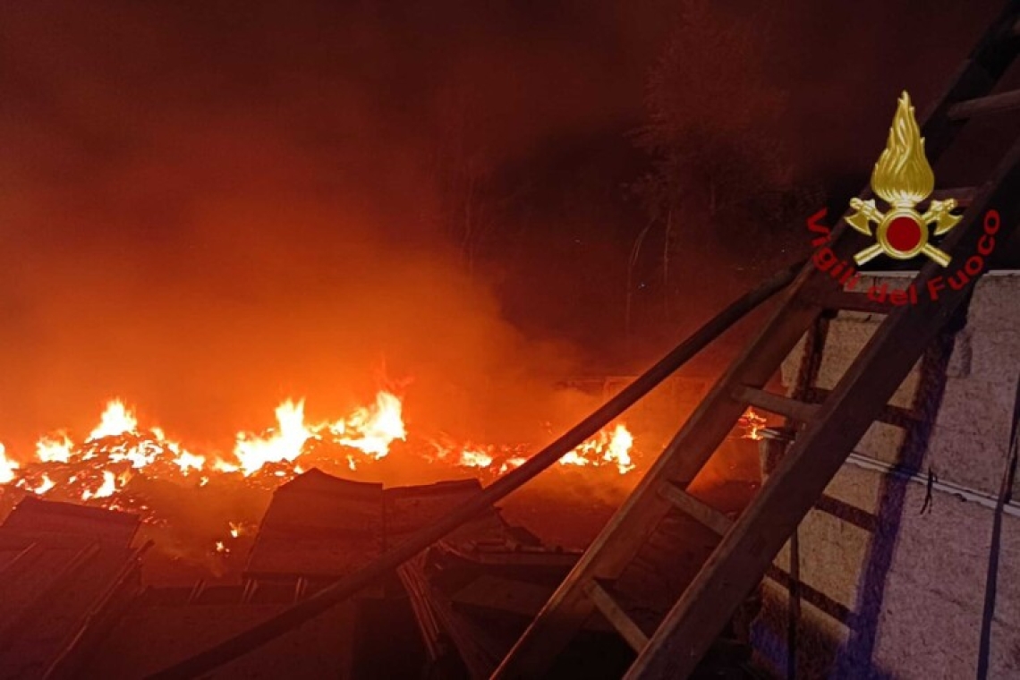 Incendio distrugge un’azienda, il rogo è stato spento
