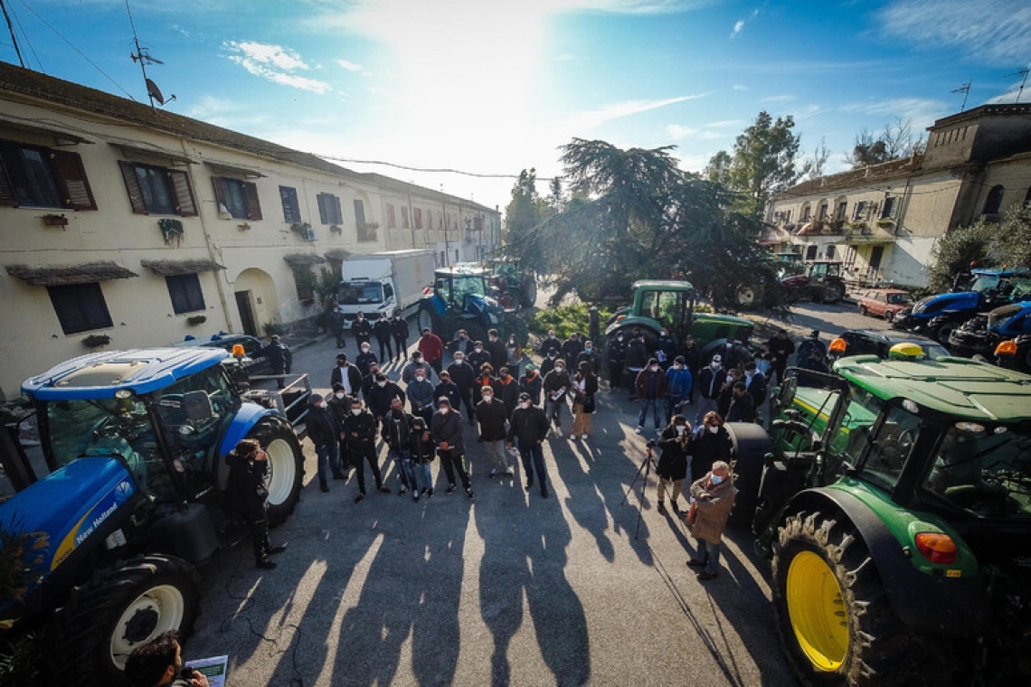 Brucellosi: riprende la protesta, sciopero della fame in Campania e Sicilia