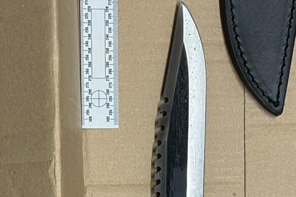 'Chiama il 112, ho accoltellato mio padre e sto venendo in caserma'