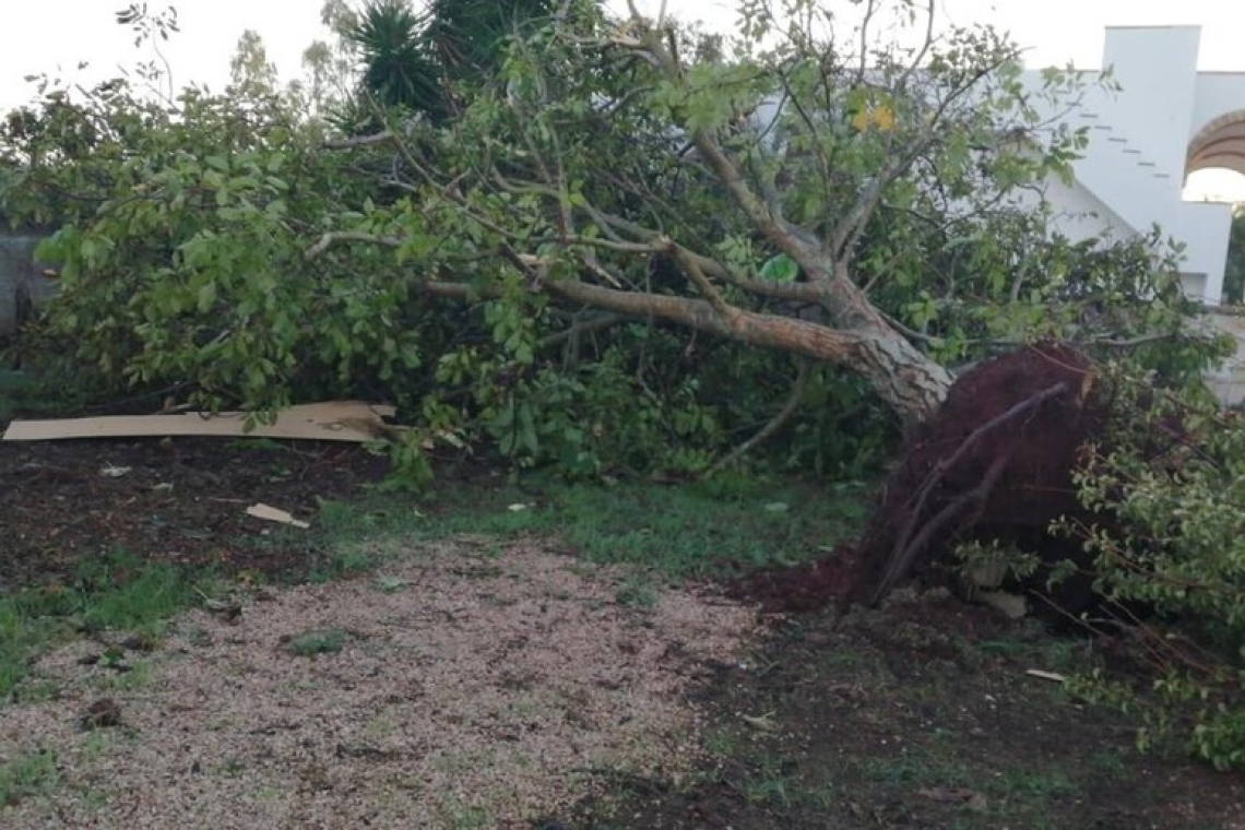 Una tromba d'aria ha divelto pannelli solari e alberi in Salento