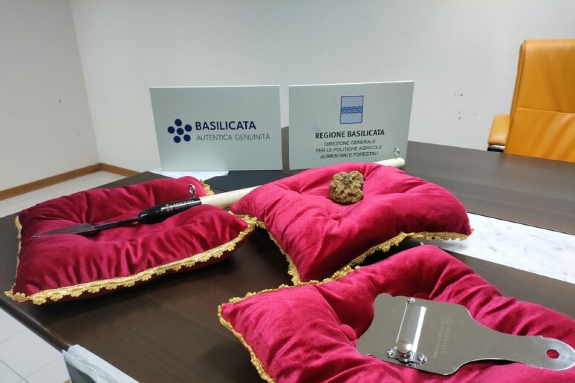 Primo forum regionale dedicato al tartufo della Basilicata 