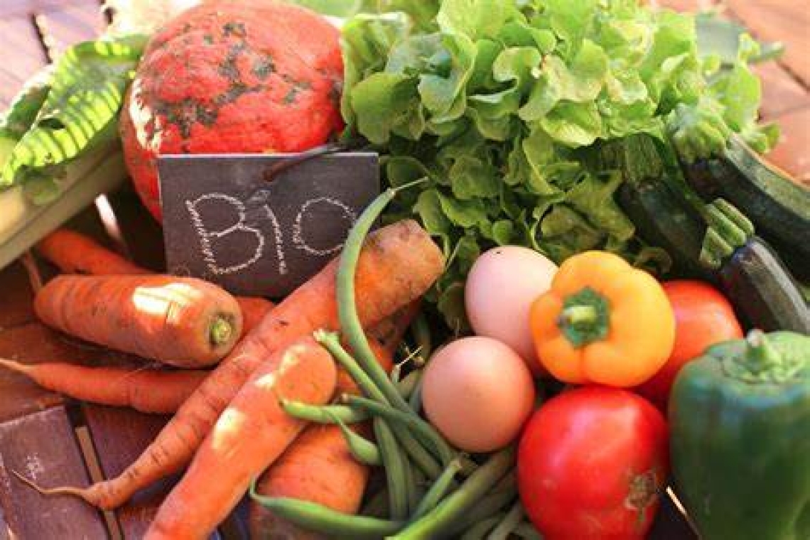 Basilicata: In agricoltura cresce la 'scelta biologica'
