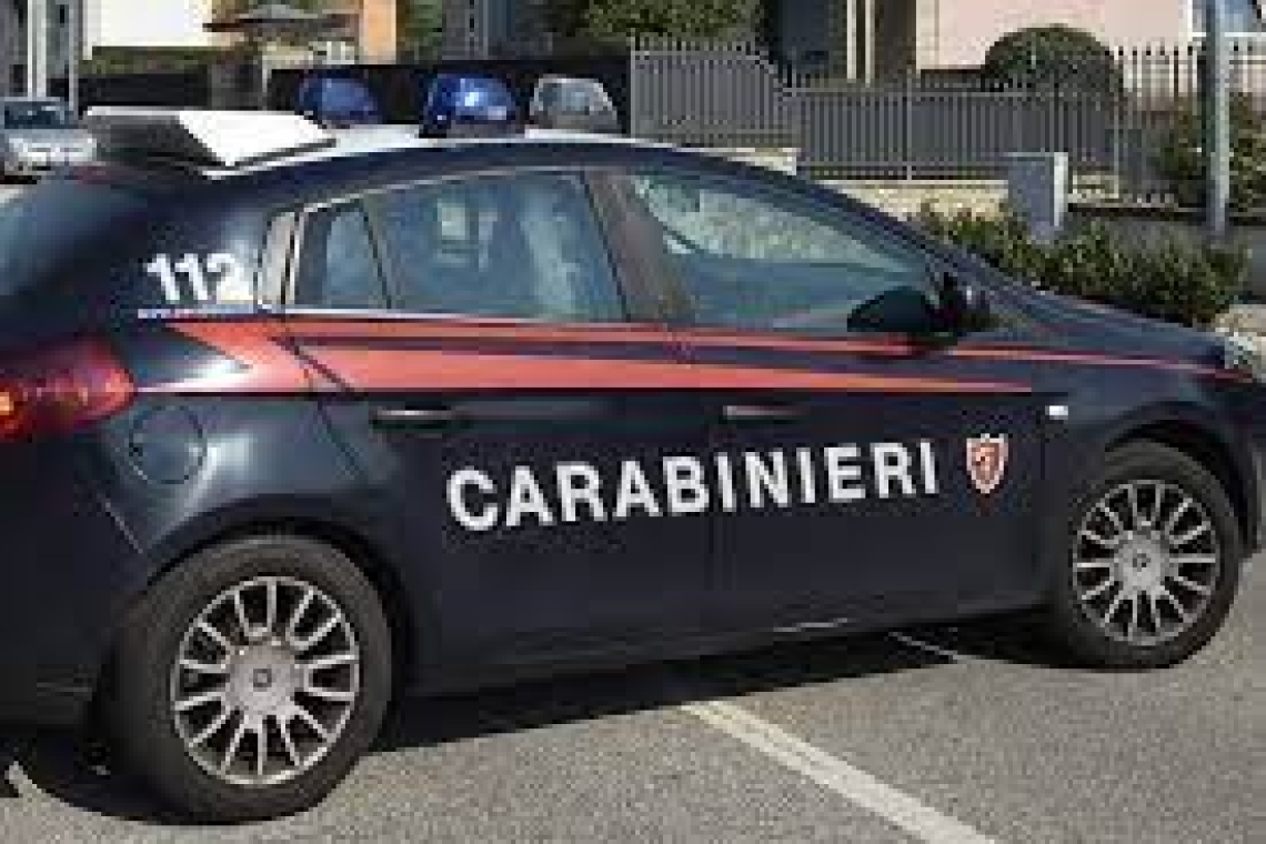 Infastidito dai cani del vicino che abbaiano lui tenta di ucciderli, denunciato