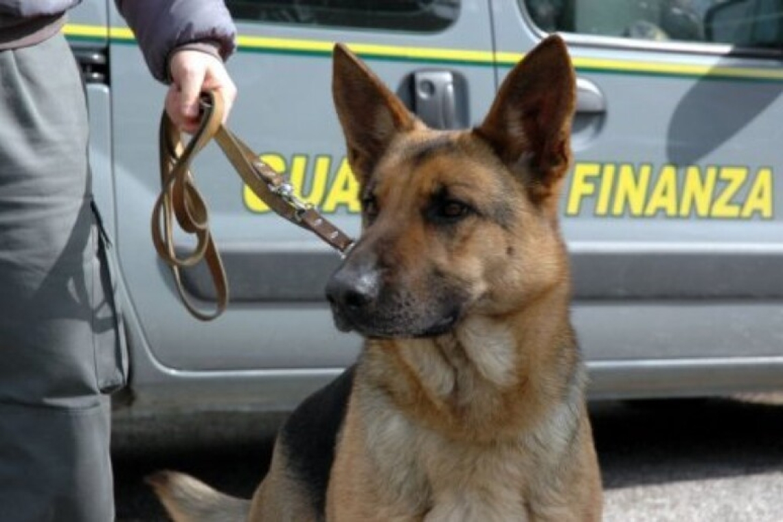 Arrestato un corriere della droga, trasportava 8 kg di cocaina