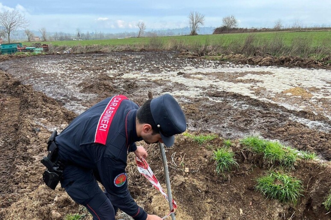 In provincia di Vibo eseguiti controlli ambientali da parte dei Carabinieri, 3 denunce