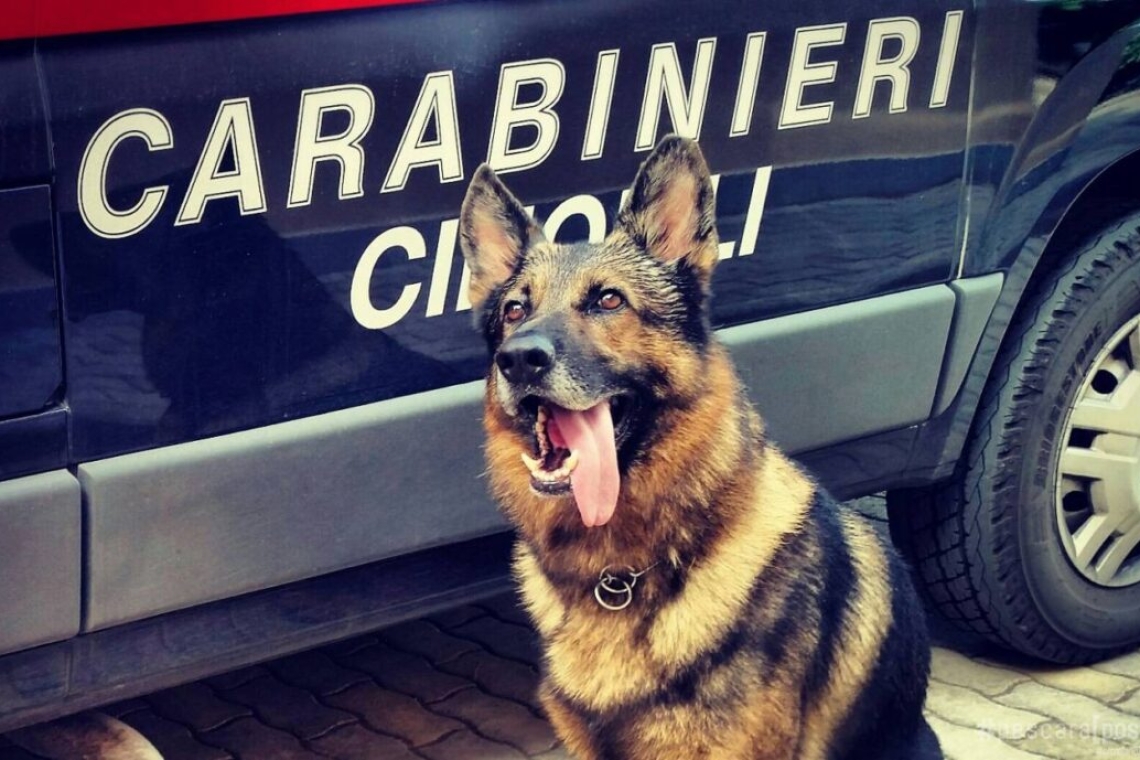 Trovate droga e armi nella sua abitazione, arrestato