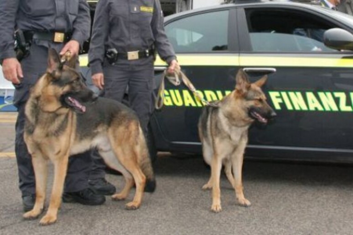 Corriere della droga arrestato con 18 Kg di hashish a forma di gelato