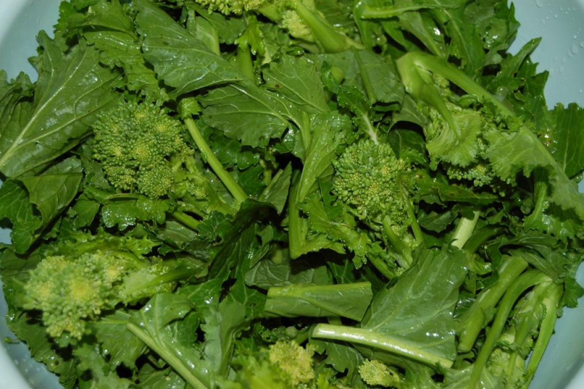 Bisignano: Verso il riconoscimento IGP del 'Broccolo di Rapa'