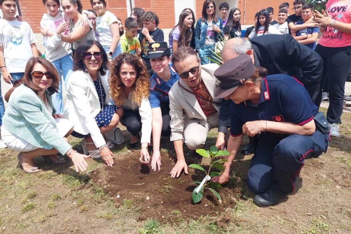 Legalità, Taurianova accoglie l'Albero di Falcone