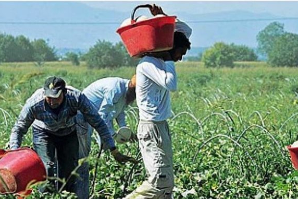 Lavoro nero e caporalato: tasso record di irregolari in Calabria