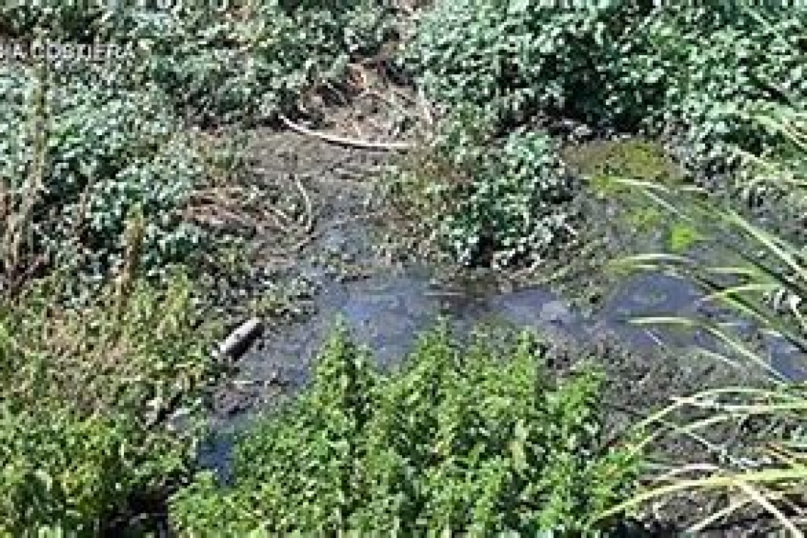 Scarico fognario sequestrato per reflui non depurati nel torrente Fiumarella