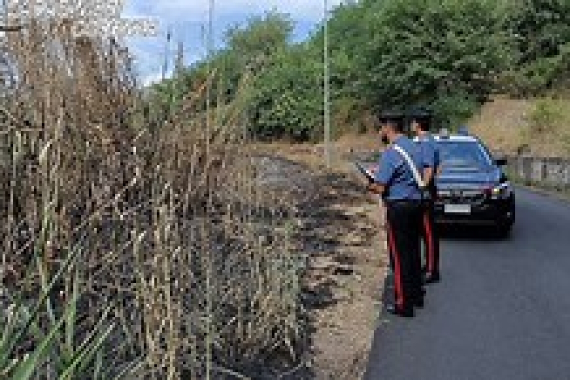 Appicca incendio vicino al bosco, arrestata piromane di 68 anni