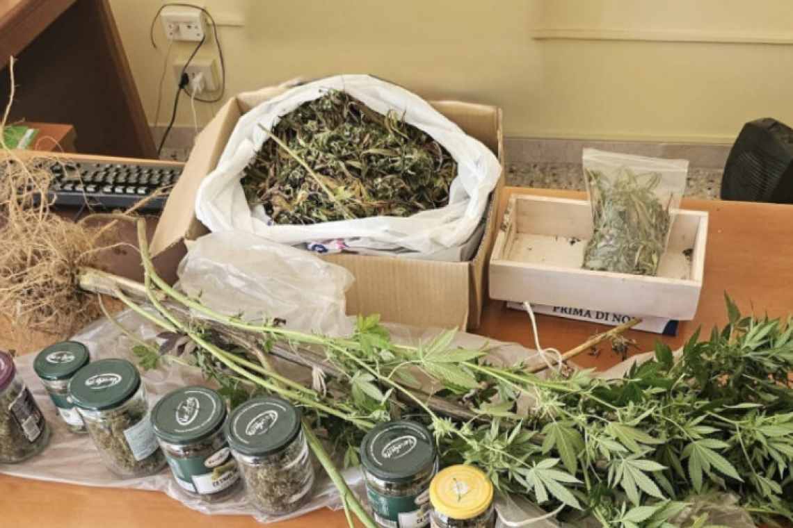 Rogliano, sequestrate oltre mille dosi di marijuana e una pianta di canapa: arrestato un 36enne